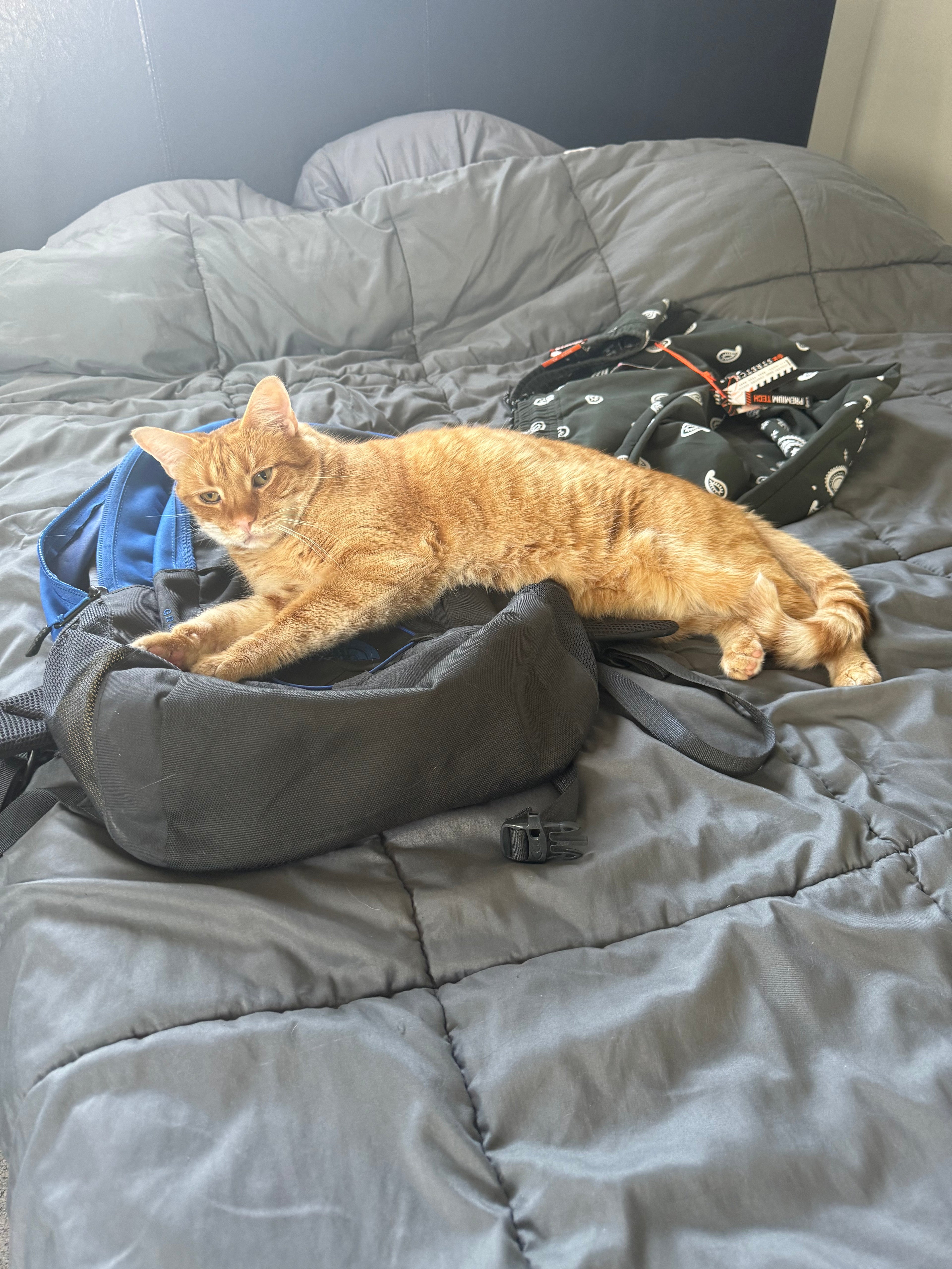 A Week in the Life of a Foster Fail