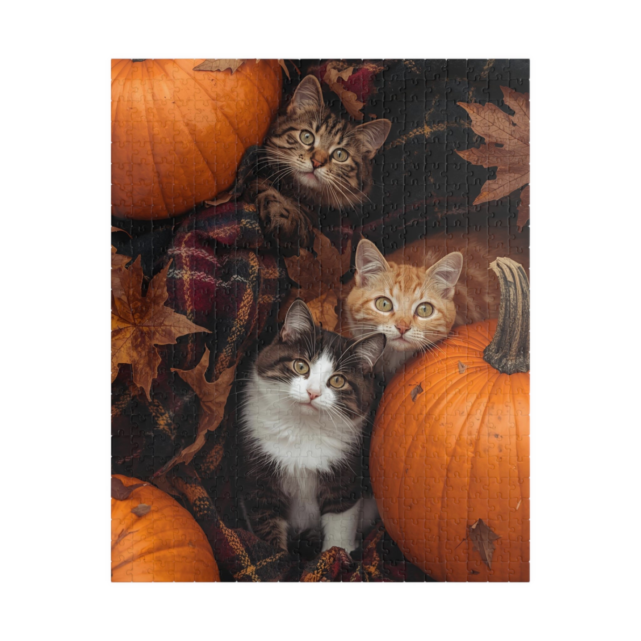 Pumpkin Patch Cats Puzzle – Fall Cat Jigsaw for Autumn Lovers