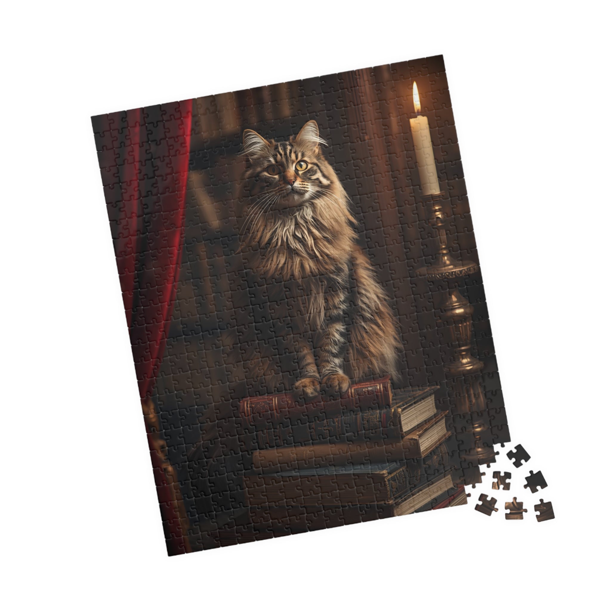 The Librarian Cat Puzzle