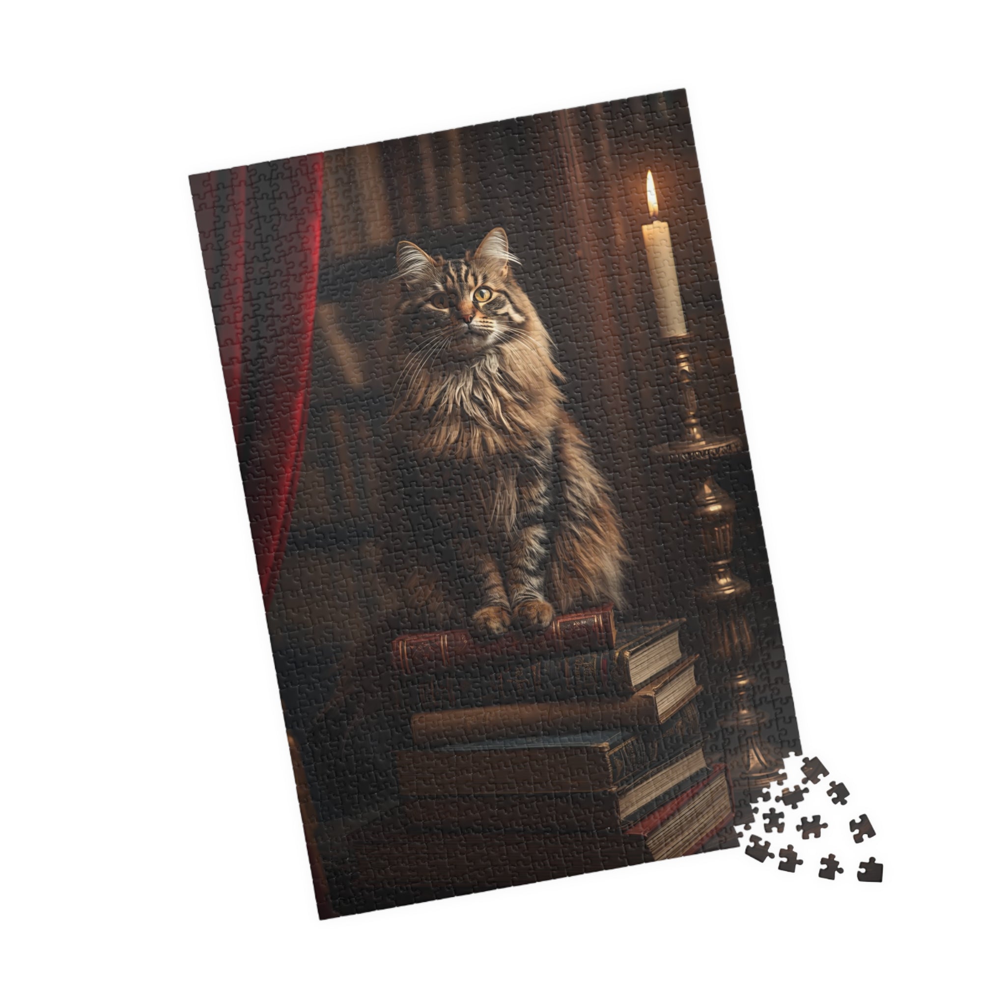 The Librarian Cat Puzzle
