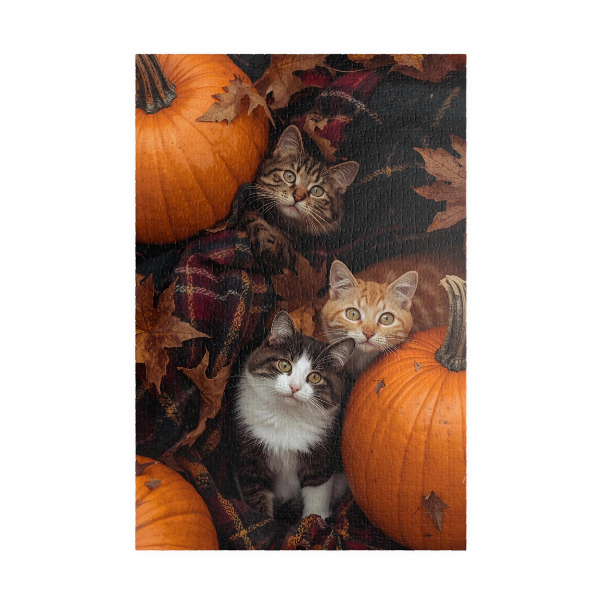 Pumpkin Patch Cats Puzzle – Fall Cat Jigsaw for Autumn Lovers